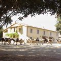 Agriturismo Biobagnolese