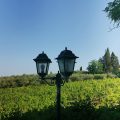 Agriturismo Cameli