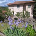 Agriturismo Colle dell’Arci