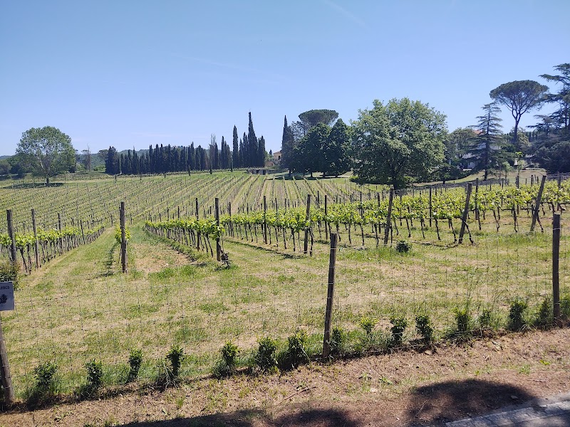 Agriturismo Fattoria Casabianca in Bucine, Italy
