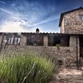 Agriturismo Fattoria Montelucci