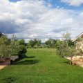 Agriturismo Fontelupo