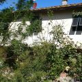Agriturismo Il Burattino Country House
