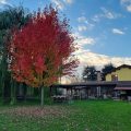 Agriturismo Il Gualdo di Sotto
