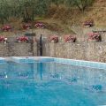Agriturismo La Casella