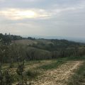 Agriturismo La Corte dei Cavalli