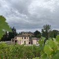 Agriturismo Poggio Bonelli
