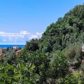 Albergo Serena