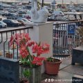 Albergo Stella di Mare