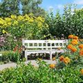 Avalyn Garden