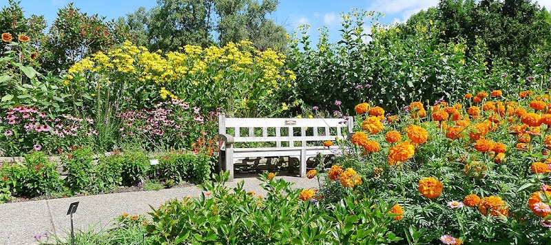 Avalyn Garden in Ann Arbor, United States