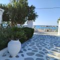 Avra Palm Hotel
