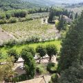 Azienda Agricola Torre Alberghieri