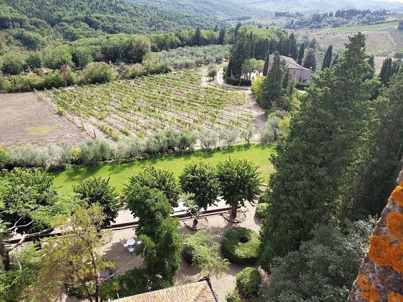 Azienda Agricola Torre Alberghieri in Impruneta, Italy