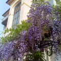 B&B Al Giardino Dei Cedri