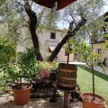 B&B Al Vecchio Borgo