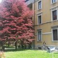 B&B Casa Gentile
