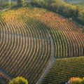 B&B Casa Soave