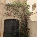B&B Corte dei Musco