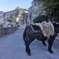 B&B Dell’Artista