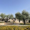 B&B Fiano Marchione