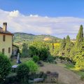 B&B Glicine