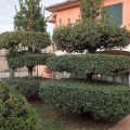 B&B Il Casale dell’Olmo