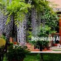 B&B Il Giardino di Alice