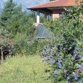B&B Il Ginepro
