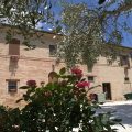 B&B Il Girasole