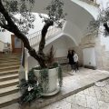B&B Il Nido dei Falchi
