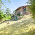 B&B Il Vigneto