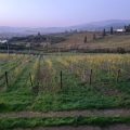 B&B L’Accademia