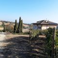 B&B L’Orso e l’Ape