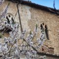B&B La Bifora