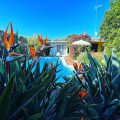 B&B La Casa Particular