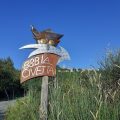 B&B La Civetta
