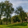 B&B La Colonna