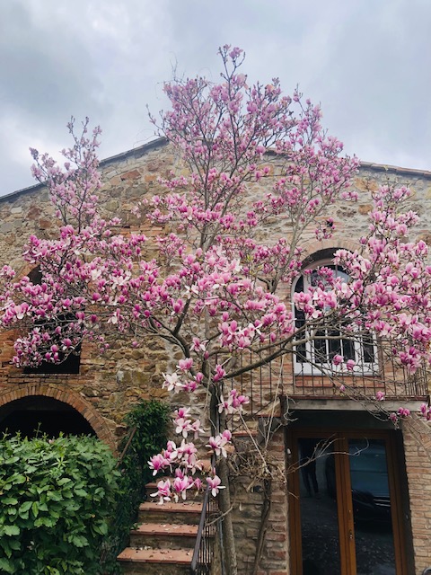 B&B La Magnolia in Locri, Italy