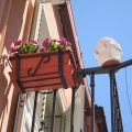 B&B La Pigna Bianca