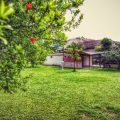 B&B La Rinascita