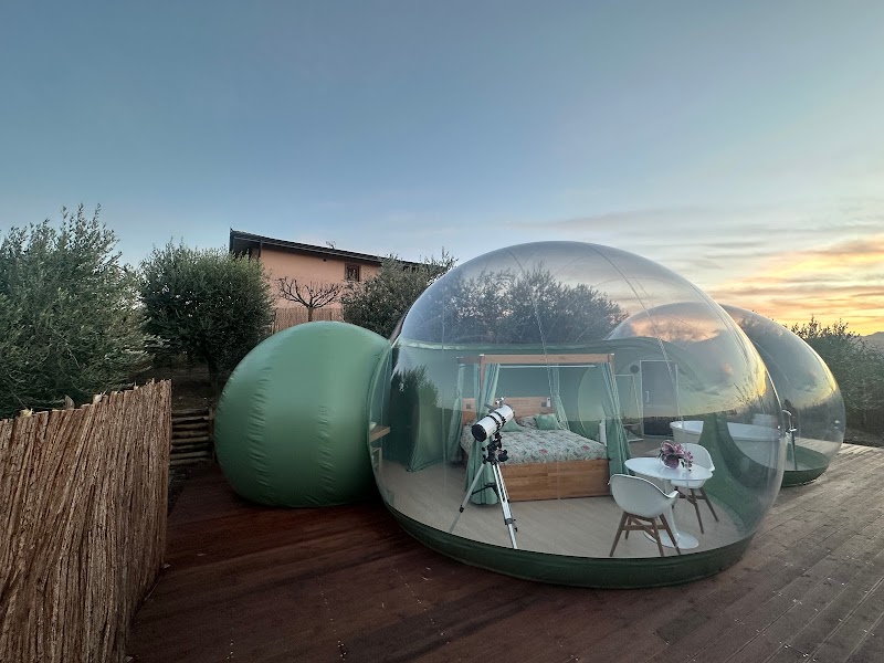 B&B La Villa degli Ulivi in Bisceglie, Italy