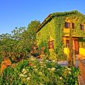 B&B Le Due Volpi