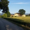 B&B Le Rose