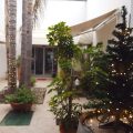 B&B Le Stelle
