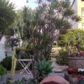B&B Le Terrazze