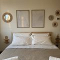 B&B New Fly