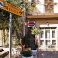 B&B Oleaster