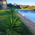 B&B Paradiso