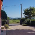 B&B Pleris